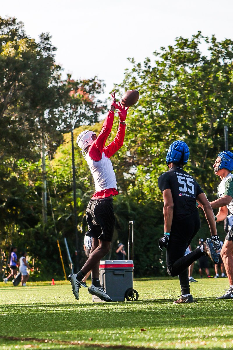 Palm Beach Elite tweet media