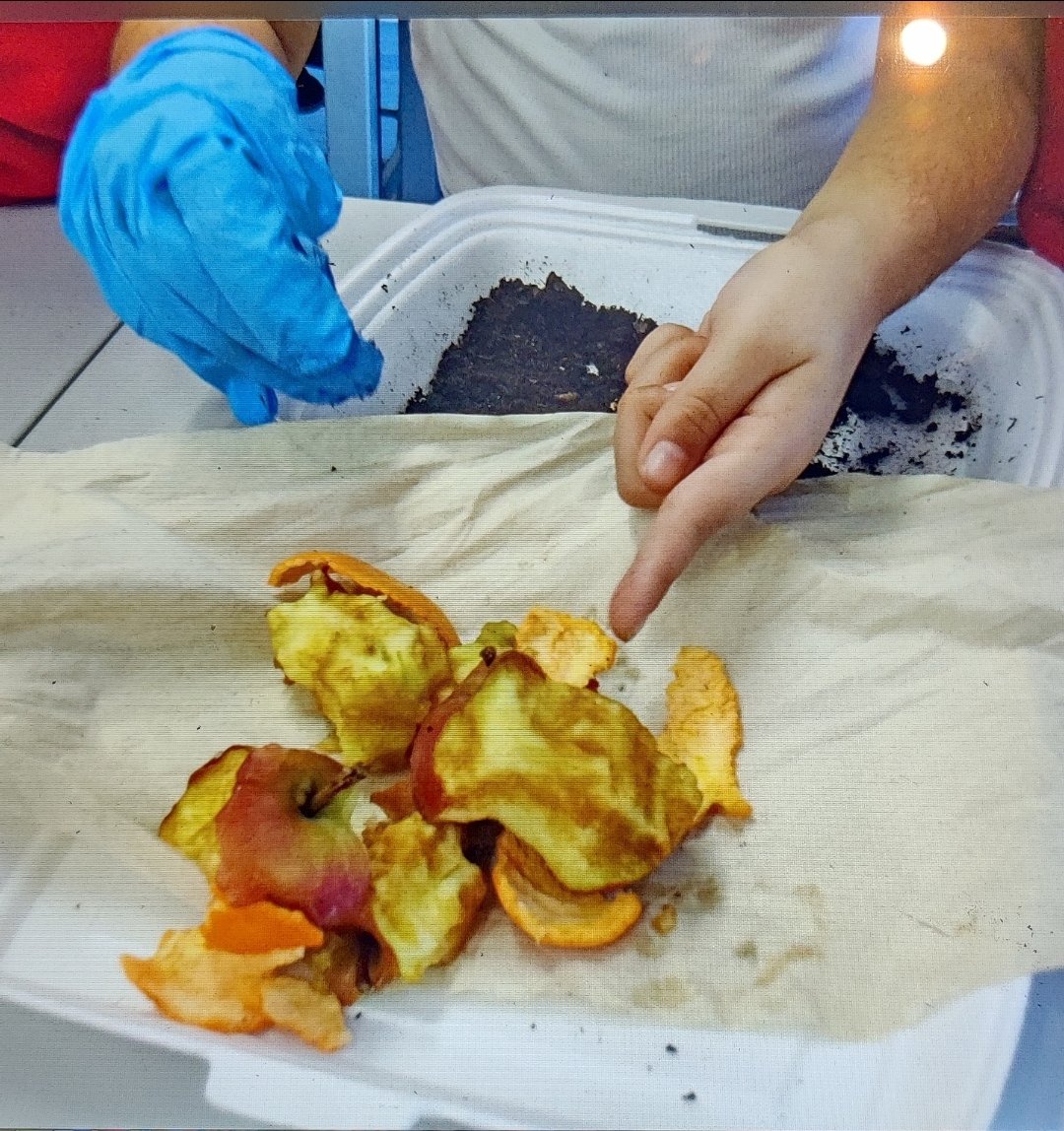 Ray Lodge Primary School (Strive 4 Academy Trust) tweet media