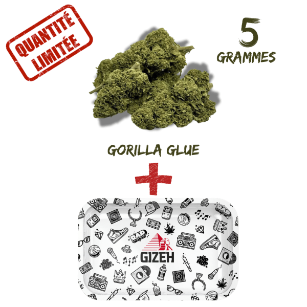 phil_pagn's tweet photo. Pack Fleur CBD Gorilla Glue Greenhouse 8% + Plateau à Rouler GIZEH Comic Blanc 275x175mm https://t.co/pvPtzW7RqP https://t.co/NvH2nSw6ER
