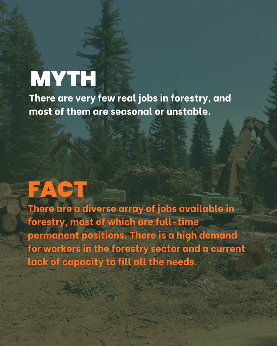 California Forestry Association tweet media
