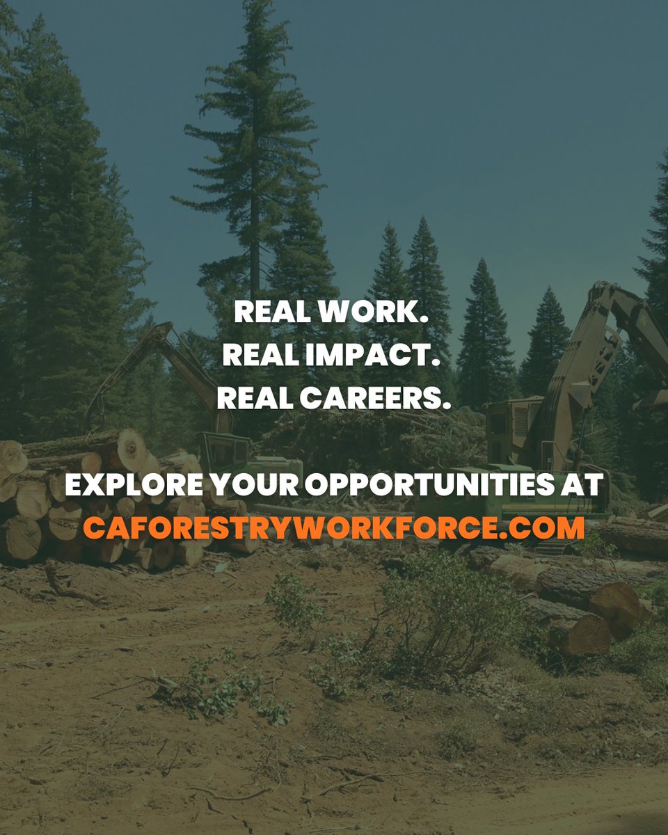 California Forestry Association tweet media