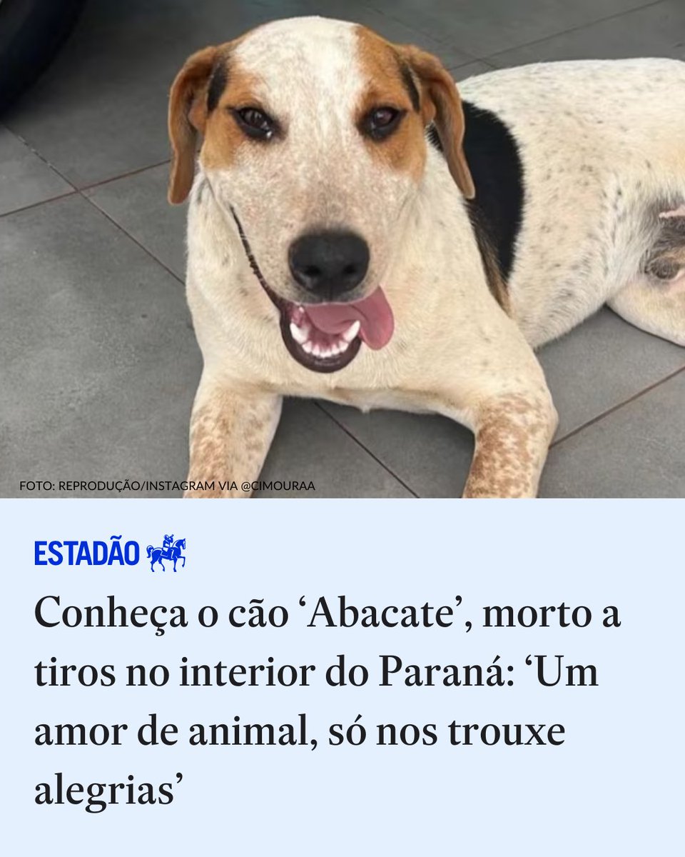 Estadao's tweet image. Conheça o cão ‘Abacate’, morto a tiros no Paraná: ‘Um amor de animal, só nos trouxe alegrias’

Cachorro era cuidado por moradores de Toledo (PR) e morreu após ter o intestino perfurado &amp;gt; bit.ly/4taLLu8