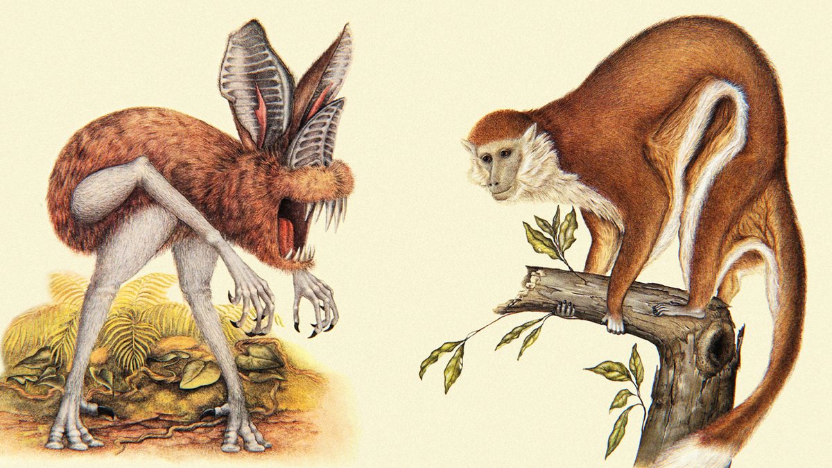 🍃 NOUVELLE VIDÉO ! 🐒
Suite de mon exploration du livre de biologie spéculative "After Man" et de ses animaux imaginaires 🦥
(pas obligé d'avoir vu la partie 1)
>> youtu.be/Ma3SFU7x2w0?si… <<