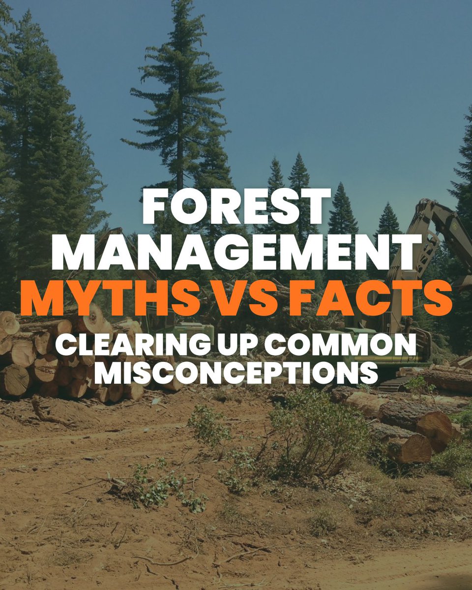 California Forestry Association tweet media