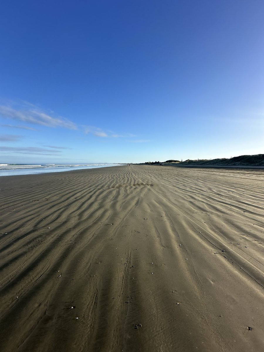 UM from New Zealand ☕️ 
(Useless Morning)

Did you know? There are more useless crypto coins than grains of sand? 

Why not just buy the only coin that admits it’s $USELESS?