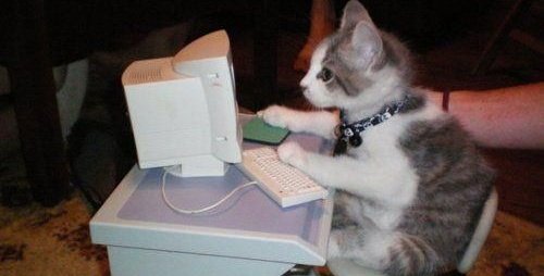 sarasa🧉 tweet media