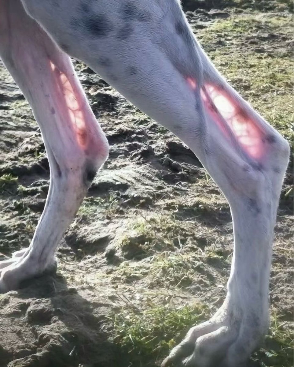 ennntropy's tweet image. 