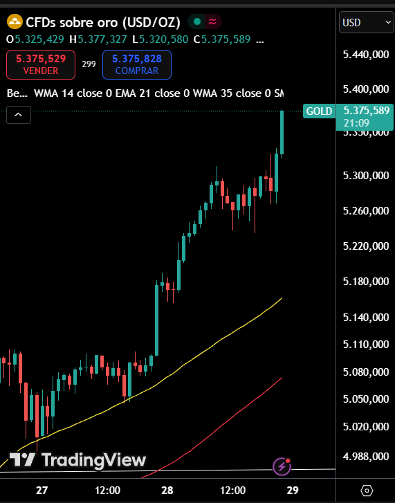 Catalina Castro tweet media