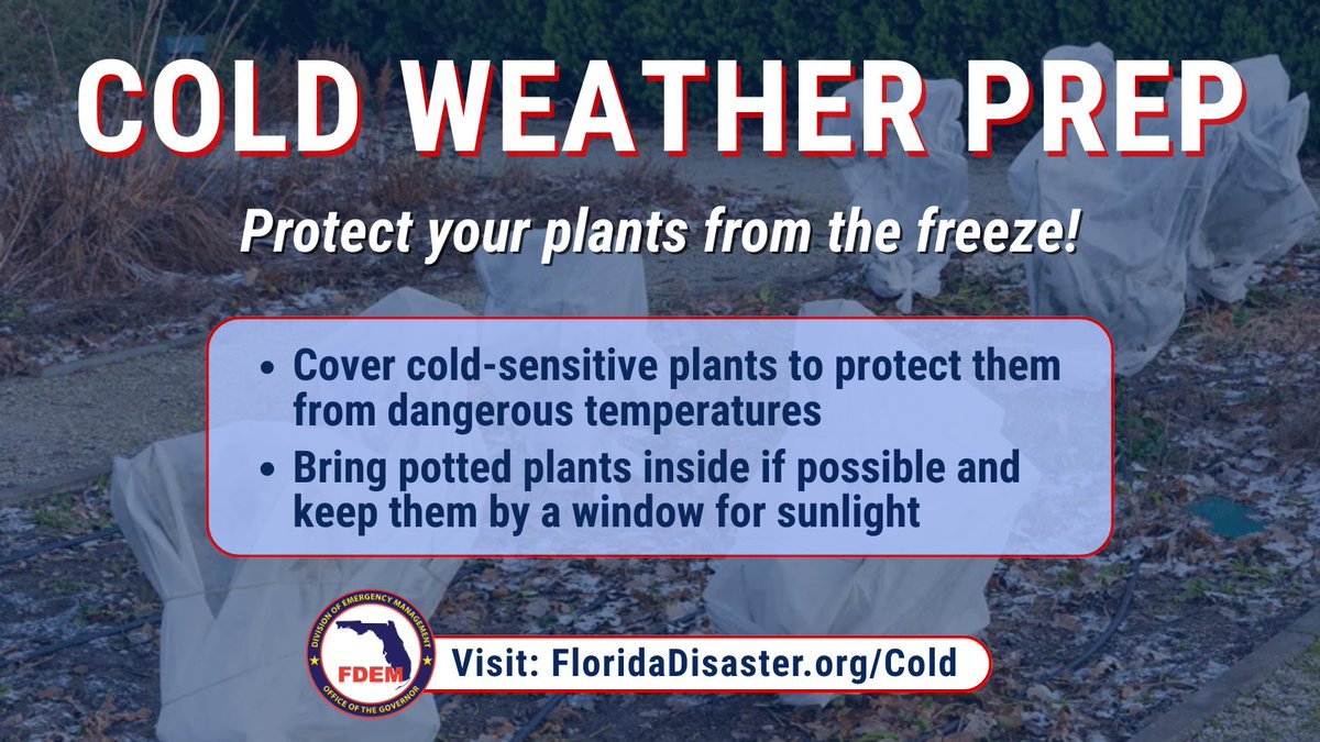 FL Division of Emergency Management tweet media