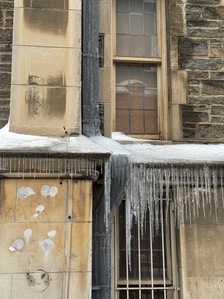 冷たい水をたくさん飲んでください。🧊
(ゝ。∂)