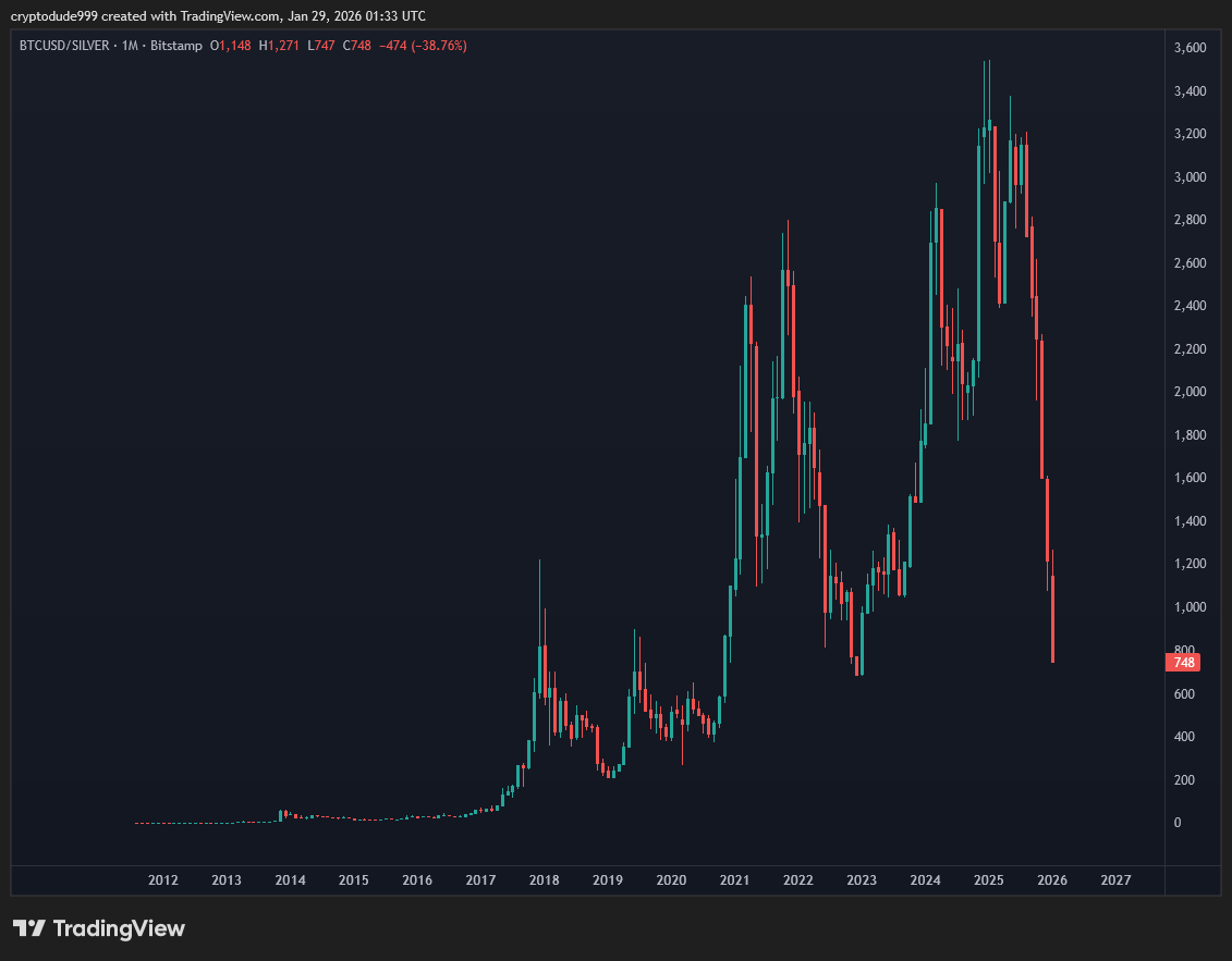 the dude tweet media