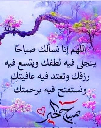 خالد آل علي⭐️ الإمارات العربية المتحدة دار زايد tweet media