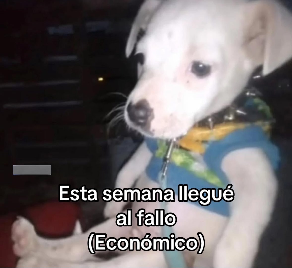 HOMBRES tweet media