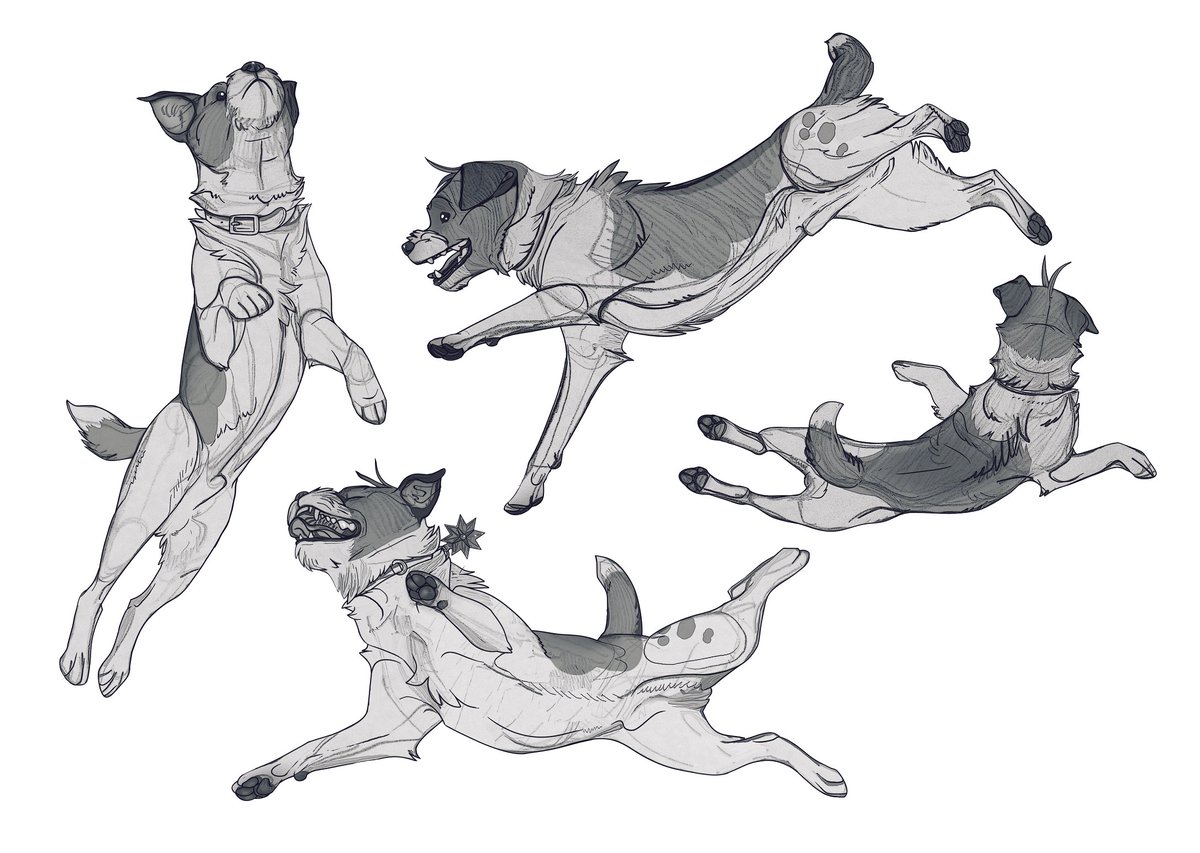 Ziggy 🐇 tweet media