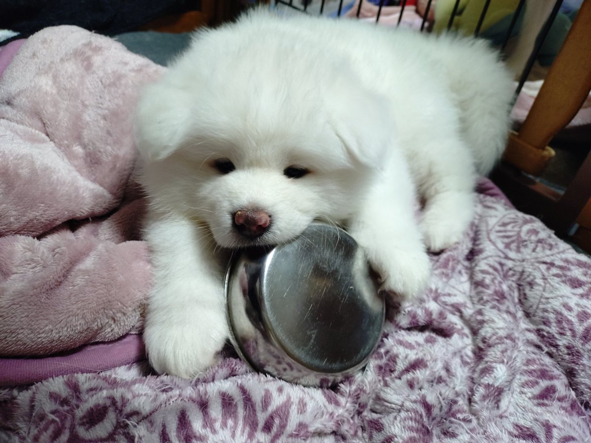 ْ (@65907_30_4) / Posts / X