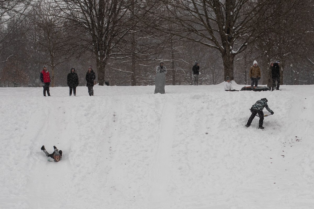 Max Petrosky tweet media