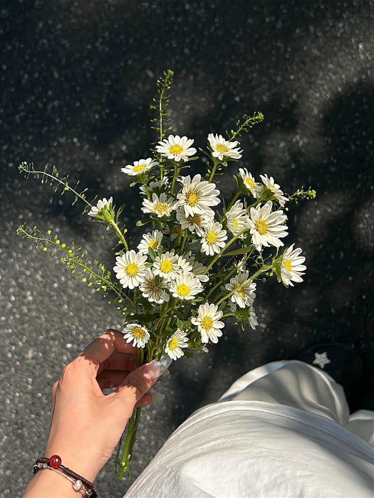 greenvibe's tweet image. 