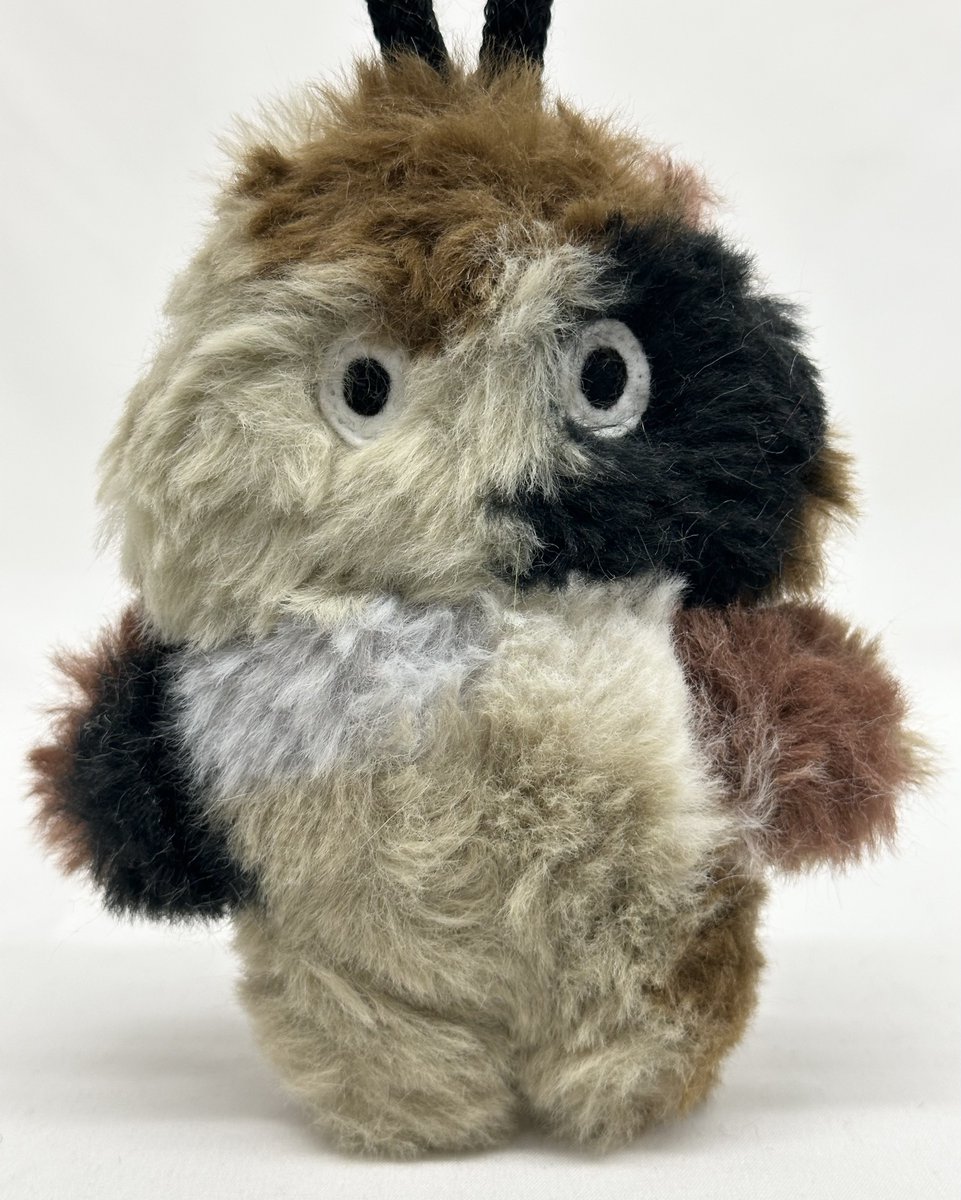 本日発売😊 メッシュ君付きは3セットのみ！ お見逃しない様お願いします。