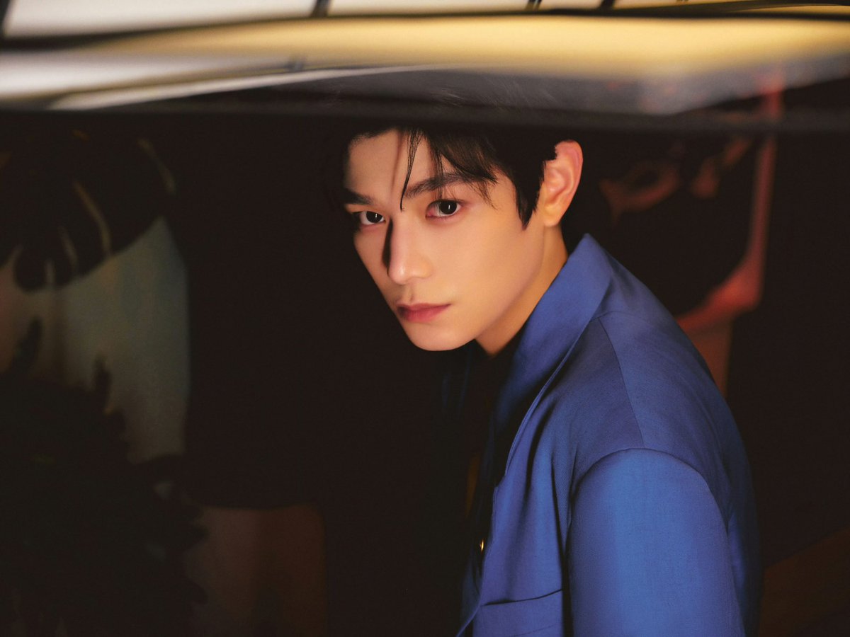 灰鱼Fishwhy tweet media