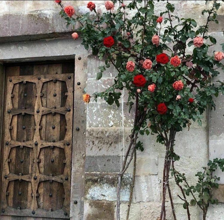 ها أنا ذا !
لست بالشخص المثالي 
ولا أريد أن تراني هكذا 
أنا فقط شخص قد لايمر عليك وقد تجد شيء منه لربما في تفاصيلك لم يراء في نفسه كم من الغرور بينما قد يُظن ،  مجرد إعطاء النفس حقها ، لست بالشخص الملتزم دائماً ولكني في جهاد مستمر مع نفسي لدي اخطأ كثيره وعلى رجاء من الله المغفرة