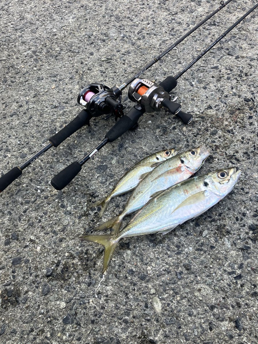 ベイトアジング*\(^o^)/*

ベイト縛り1.2g〜2.0gでやってみました！♫
突風でもなんとかキャストしてもあんまバックラもなくできましたがめっちゃ渋かった！
あたりがあるけどなかなかのらない！( ˊ̱˂˃ˋ̱ )

まぁでも....楽しめたので良しとしましょ！笑