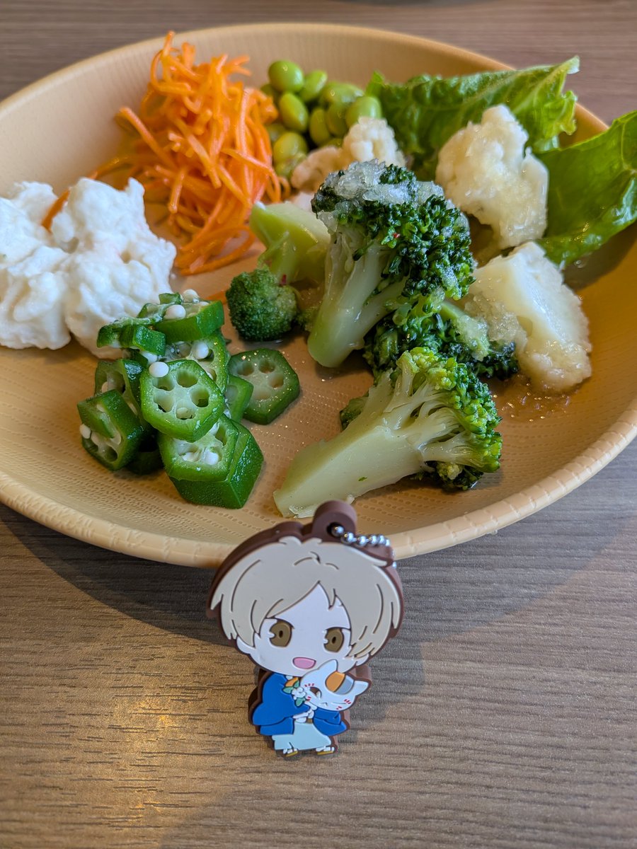 今日の匣会議始まります