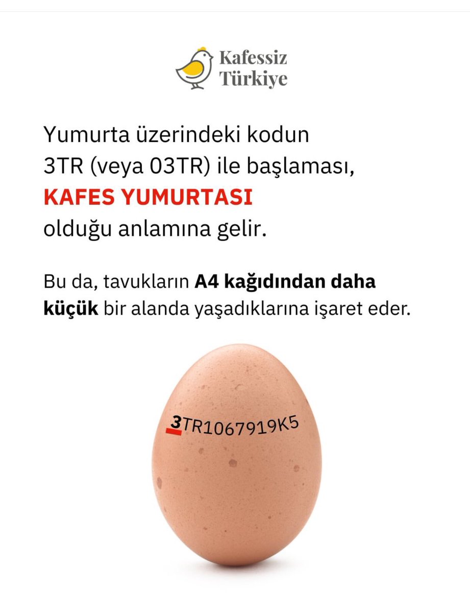 Lütfen kafes yumurtası almayın🙏
Ömür boyu A4 kağıdı kadar küçük kafesin içinde acılar içinde yaşamasınlar…