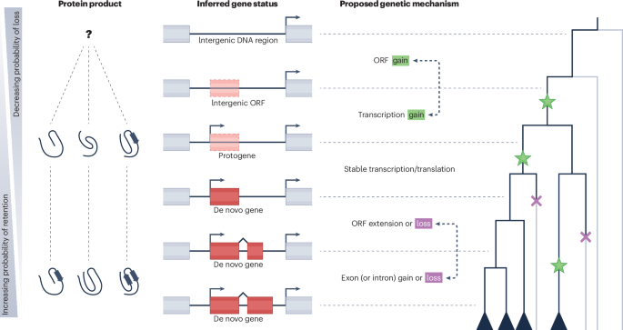 Nature Reviews Genetics tweet media