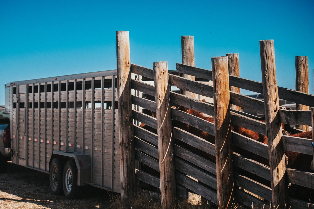 VBP+ Canada tweet media