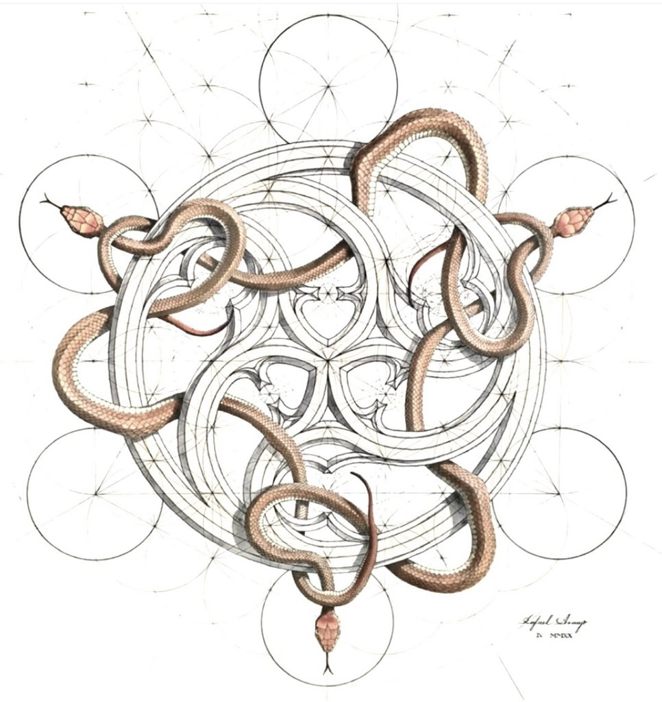 GEOMETRY 
rafael-araujo.com