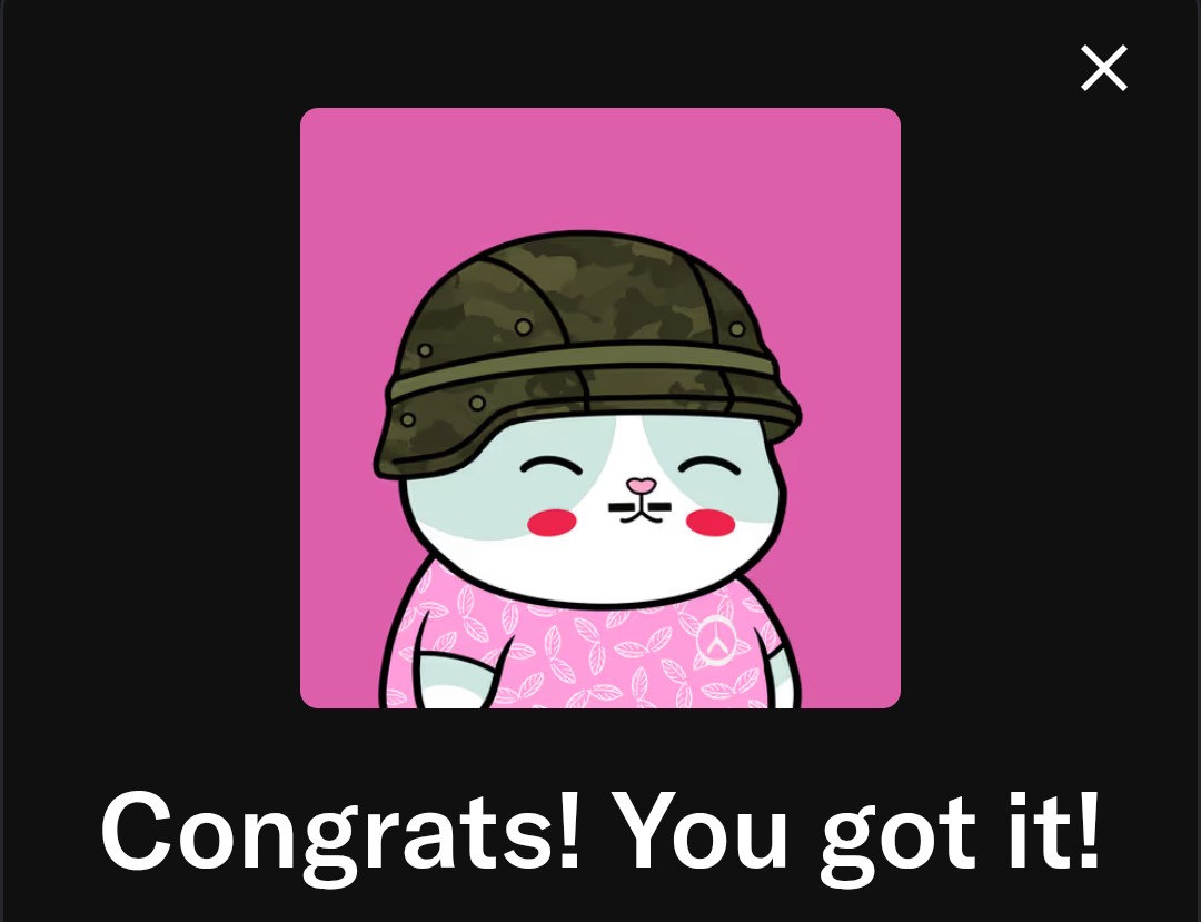 Been feeling the vibes on NFTs lately especially on <a href="/AbstractChain/">Abstract</a> !

Building a solid Web3 IP brand is how the next wave is gonna play for memes in crypto and  <a href="/meow_co0/">Meow & Co.</a> dropped this cutie matching the Softshelle branding! 

I swooped! 🐈🪖🩷