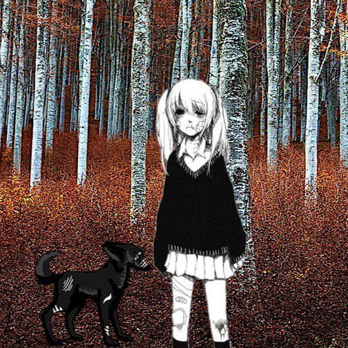 charlotte tweet media