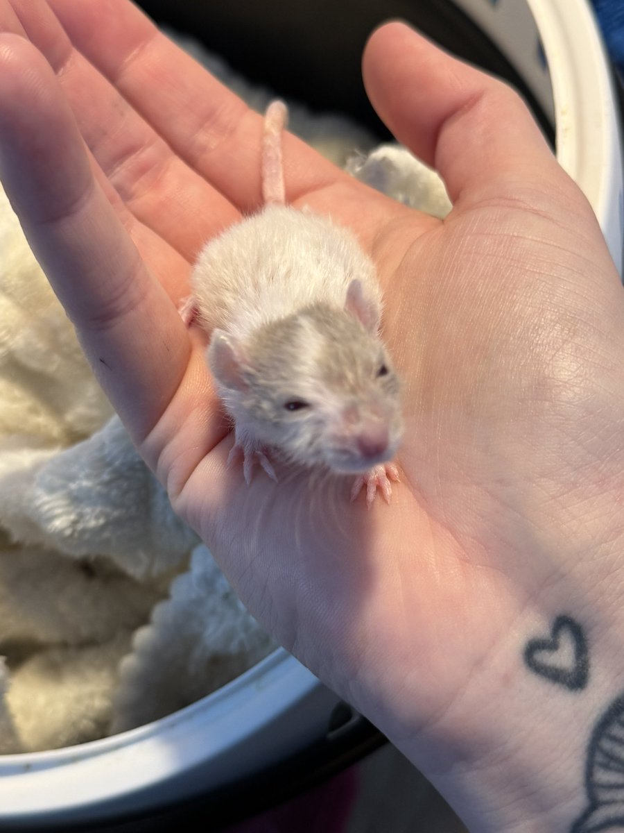 It’s dangerous to go alone! Take this