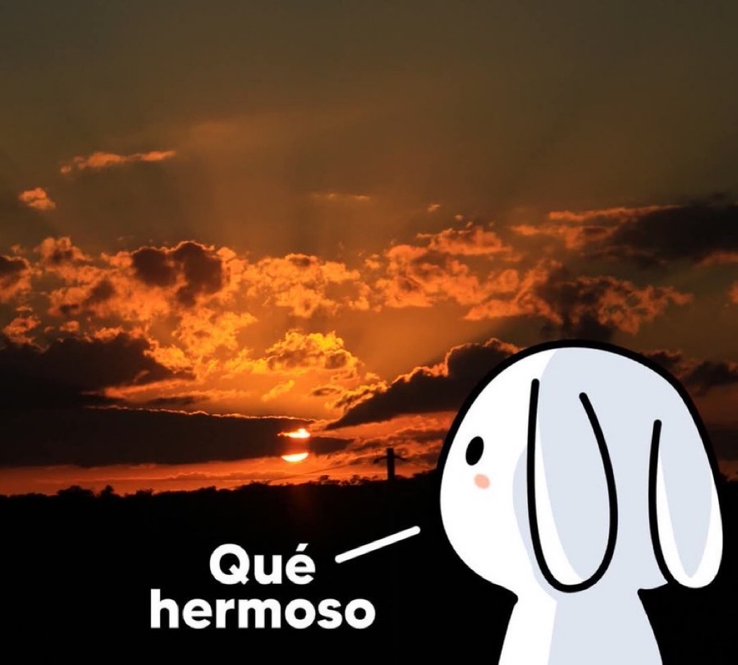 Guarromantico_'s tweet image. Yo, cada vez que se me atraviesa un atardecer:
