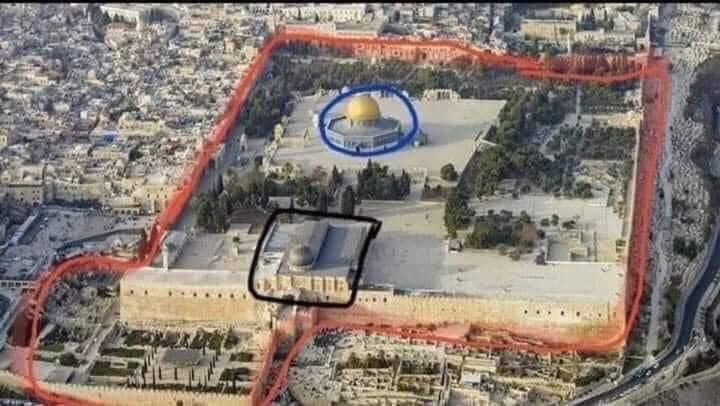 د.حذيفة عبدالله عزام tweet media