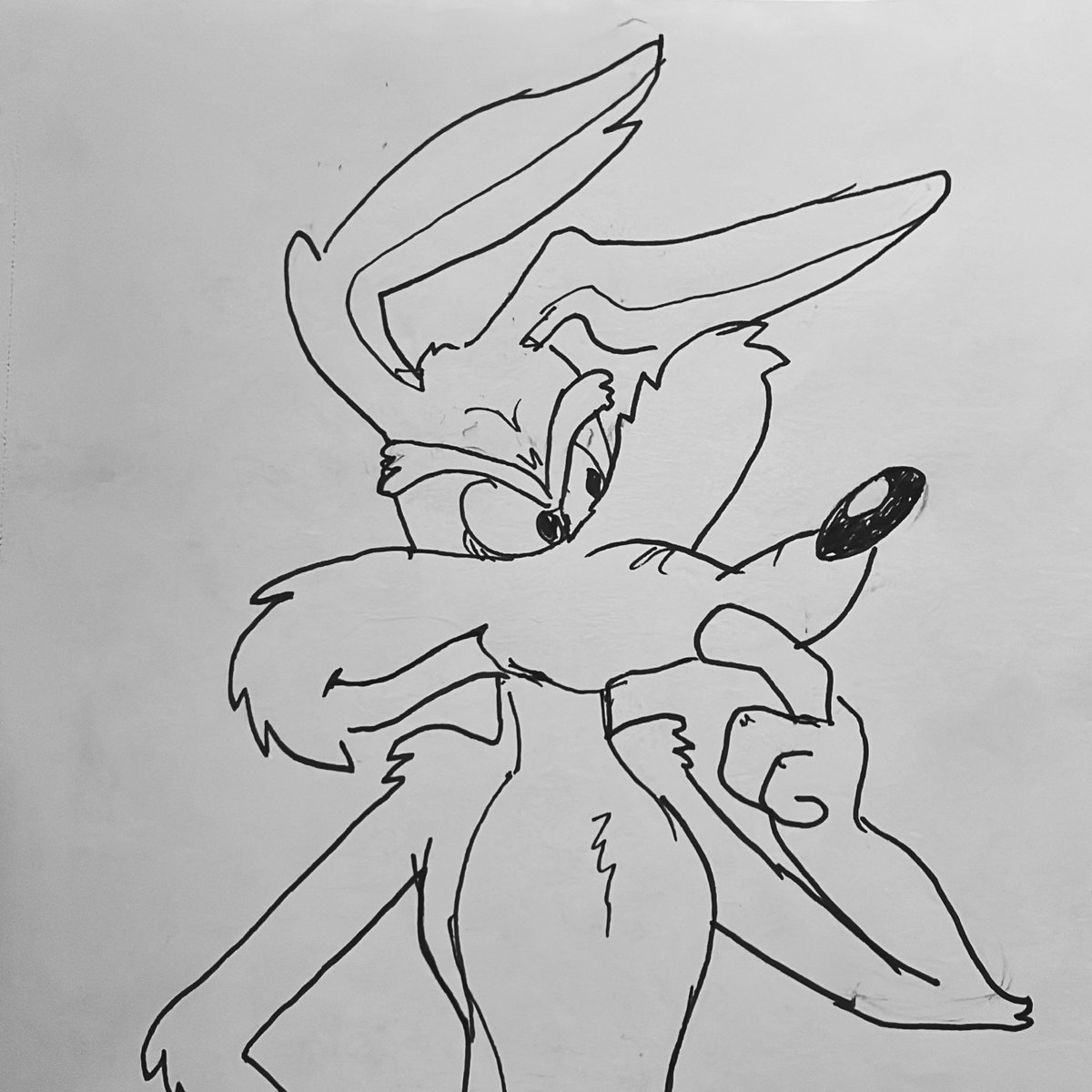A quick Wile E Coyote drawing.

#drawingartwork #wileecoyote #looneytunesfanart #cartooning #drawingeveryday