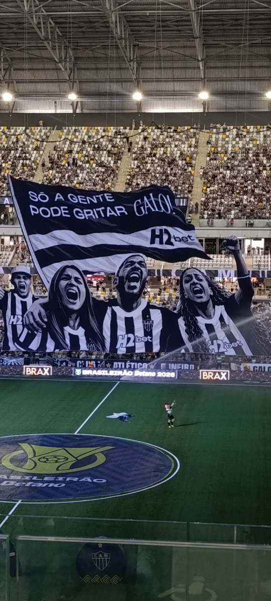 Bandeirao 3D novamente presente! 
<a href="/Atletico/">Atlético</a> vs Palmeiras.