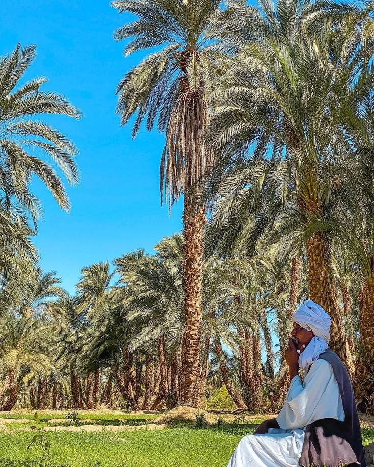 boshraa_a's tweet image. غرب السودان جمالو ما بيتوصف 😍🌾🌅