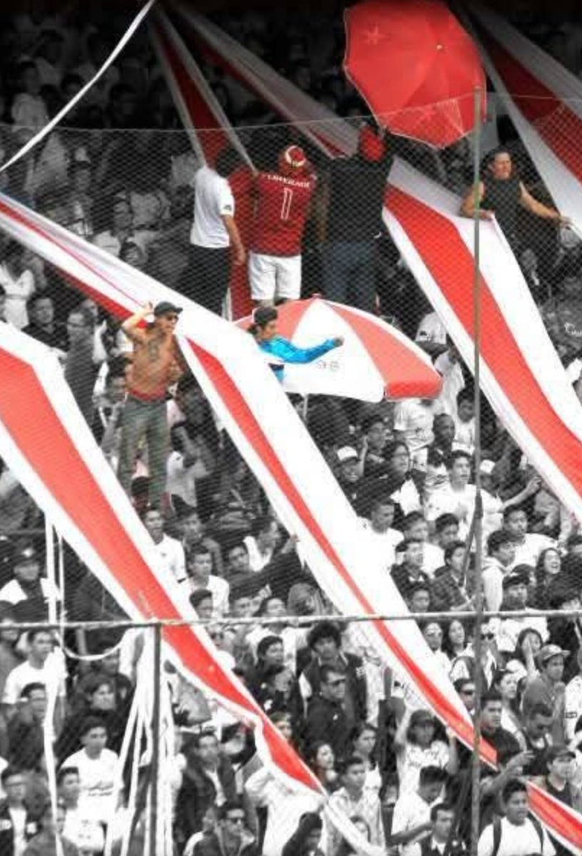 VAMOS LIGA VAMO A HACER CAMPEONES