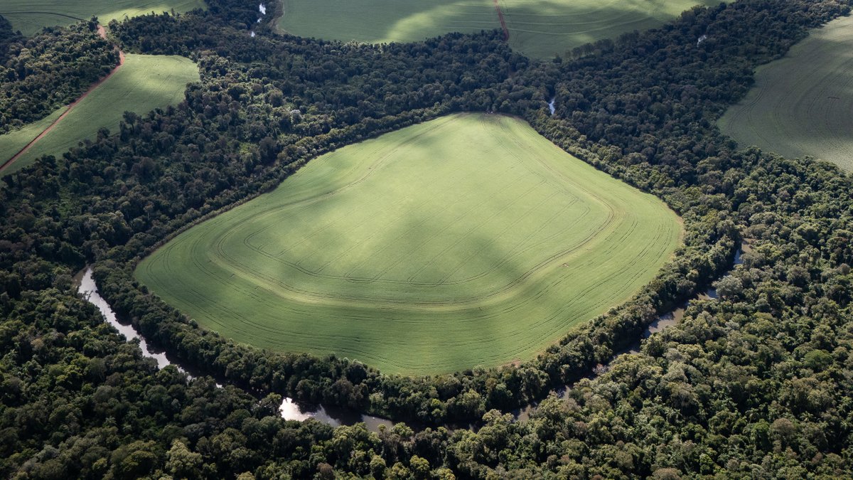 World Bank Group AgriFood tweet media