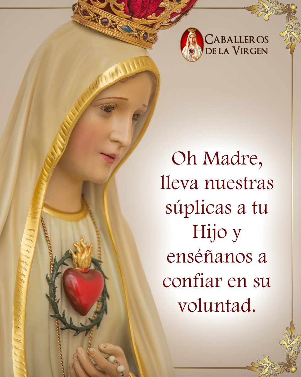 Oh Madre, lleva nuestras súplicas a Dios, tu Hijo, y preséntalas con tu ternura ante su corazón misericordioso.