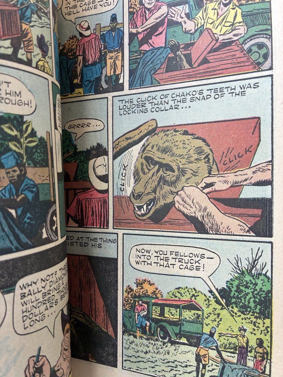 GDComics's tweet photo. Tarzan's Jungle Annual 1 (VF) Painted big cat cover! Exceptionally nice copy! 1952 Dell Comics

ON AUCTION NOW!

https://t.co/Yafeuo5IkQ

ANNUAL ANNUAL SALE

https://t.co/HXfb19d3iZ https://t.co/GsbEALW2ae