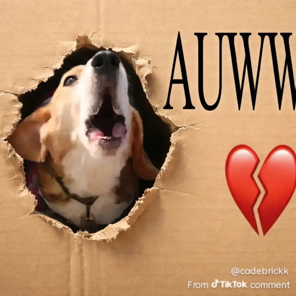 Harry ⚡+NOROI+⚡ tweet media