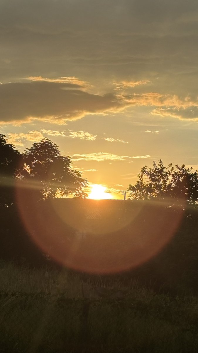 🇧🇷Líbano Ribeiro🇱🇧 tweet media