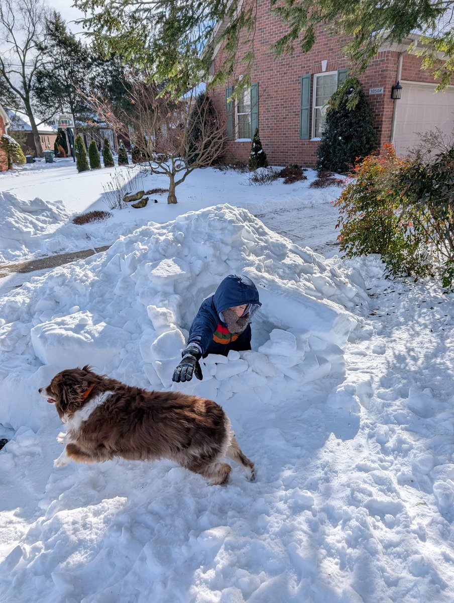 Kyle Board tweet media