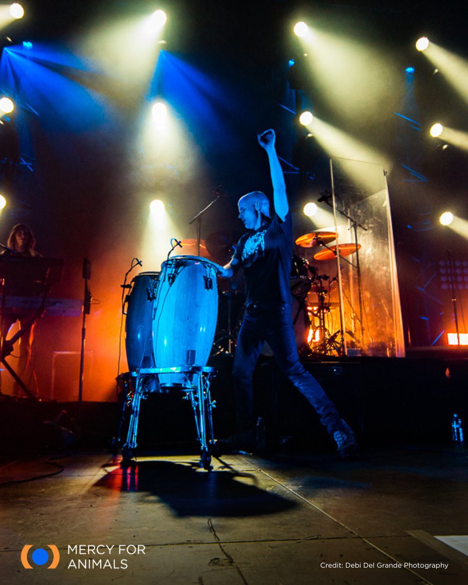 MercyForAnimals's tweet photo. 2016 was a whole era. Throwing it back to the world’s first all-vegan music festival, Circle V! We took over Hollywood with thousands of you and showed the world what’s possible. Who was there with us?!

@thelittleidiot @bestfriends #CircleV #Flashback https://t.co/c6n9b8MxFE