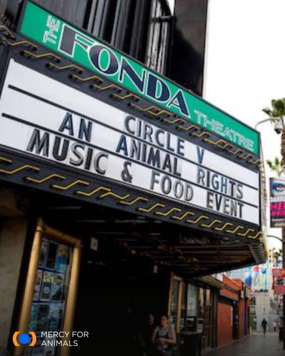 MercyForAnimals's tweet photo. 2016 was a whole era. Throwing it back to the world’s first all-vegan music festival, Circle V! We took over Hollywood with thousands of you and showed the world what’s possible. Who was there with us?!

@thelittleidiot @bestfriends #CircleV #Flashback https://t.co/c6n9b8MxFE