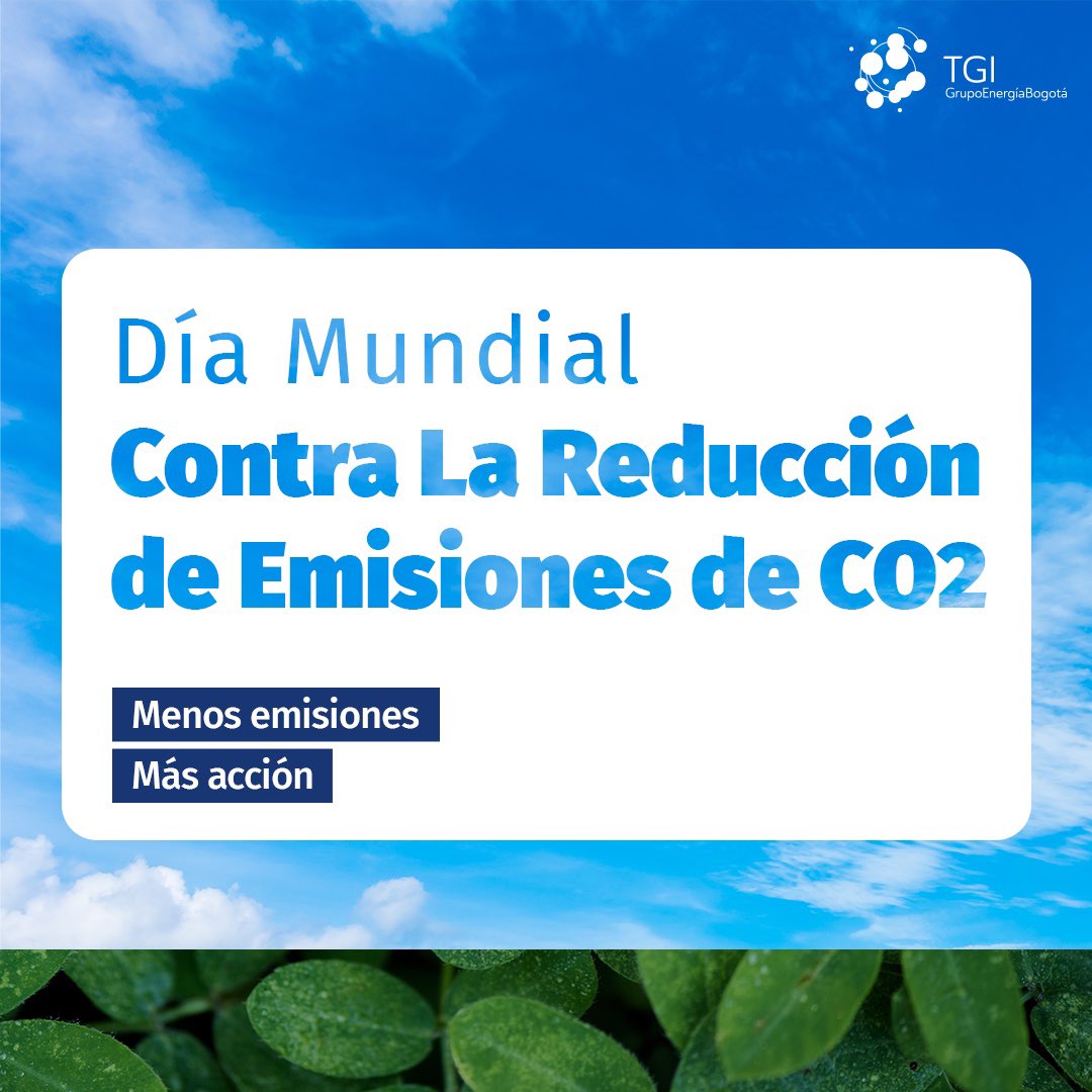 Transportadora de Gas Internacional tweet media