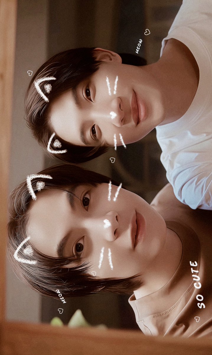 my favorite meows  🥹✨

—  #CatForCash  
       #FirstKhaotung  ^· ·^ ⟆