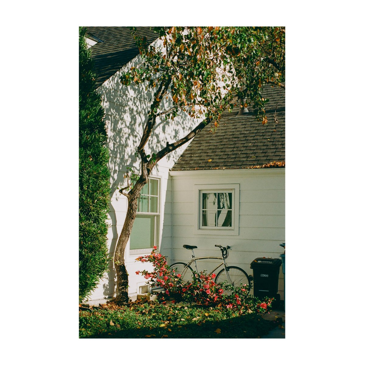 dishk15's tweet photo. film photography https://t.co/yxOR3sxv5Q